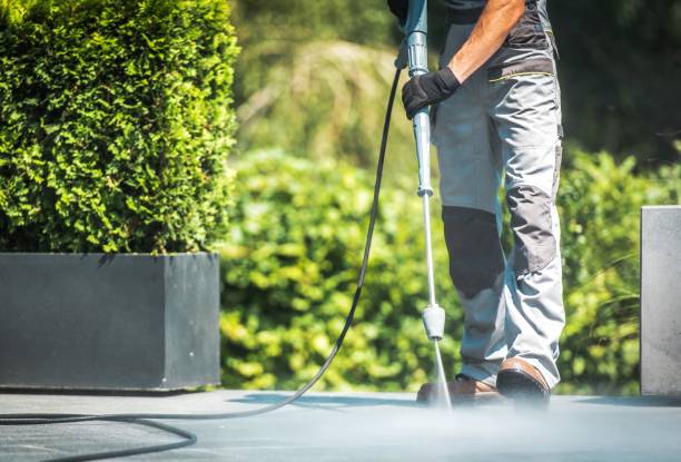 Best Soft Washing  in Holiday Heights, NJ